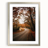 Textured abstract art print in orange and brown tones, framed in silver, ideal for bedroom wall decor.