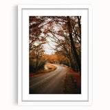 Abstract art print depicting fall trees in orange and yellow tones on a white framed canvas, ideal for dining room decor.