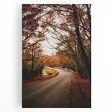 Large black and white abstract depiction of fall trees on stretched canvas, ideal for kitchen wall art.