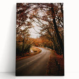 Black and white abstract tree design on large stretched canvas, ideal for kitchen wall art or bedroom ambiance.