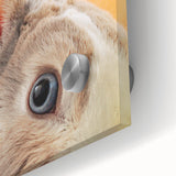 Large abstract wall art on acrylic glass featuring spring-inspired swirls in pastel shades, ideal for dining room ambiance.