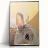 Large abstract wall art featuring soft pastel colors on a black framed acrylic print, suitable for modern living room decor.