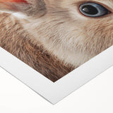 Art deco poster featuring a stylized spring scene in pastel shades on rolled canvas, suitable for dining room walls.