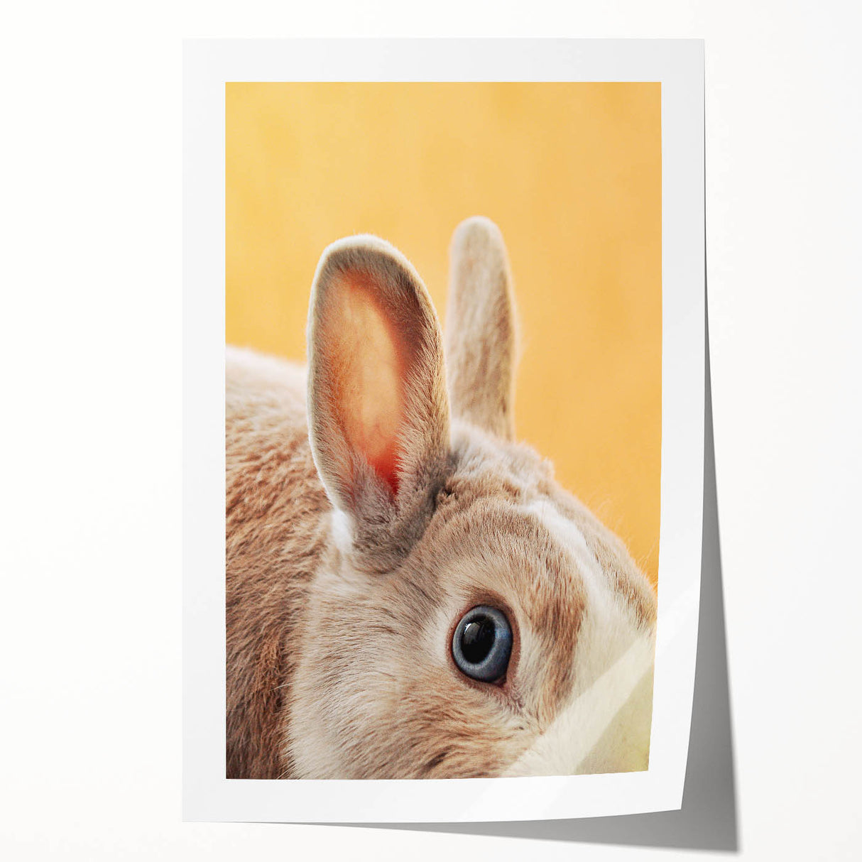 Spring floral art on rolled print featuring soft pastel hues, ideal for art wall dining room.