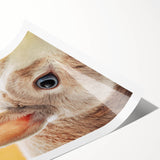 Extra large wall art featuring line art flowers in soft pastel colors on a rolled print.