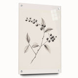 Winter-themed large abstract wall art on acrylic glass, featuring cool blue and white tones.