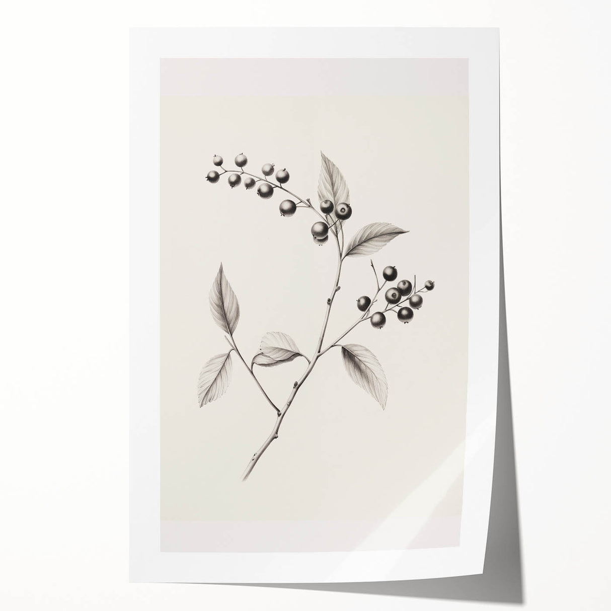 Extra large rolled print featuring a winter-themed floral design in cool blue and white tones.