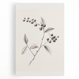 Winter scene in black and white on large stretched canvas, ideal for kitchen wall art.