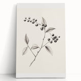 Large black and white stretched canvas depicting a winter scene, ideal for kitchen wall art or bedroom ambiance.