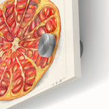 Close-up of large abstract wall art featuring assorted fruits in vibrant colors on acrylic glass.