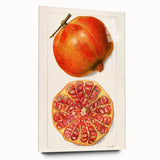 Large abstract wall art featuring vibrant fruits on acrylic glass, ideal for bedroom or dining room decor.