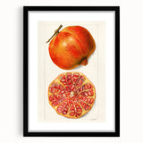 Extra large framed wall art featuring an abstract design of colorful fruits in textured style, ideal for living room decor.