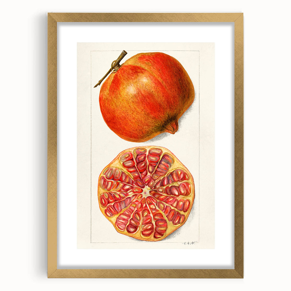 Extra large abstract art print featuring textured fruits in vibrant colors, framed in gold, ideal for living room decor.