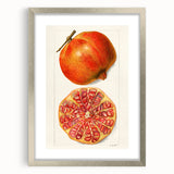 Textured art of abstract fruits in muted earth tones on a silver-framed mat, suitable for bedroom art.