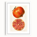Abstract art print of assorted fruits in vibrant colors on a white framed mat, ideal for dining room decor.