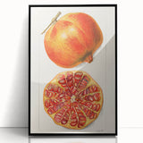 Large abstract wall art featuring an assortment of fruits in bold colors on a black acrylic framed print.