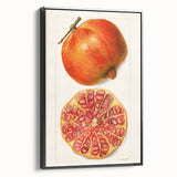 Black and white framed canvas featuring a vintage poster art style landscape with assorted fruits.