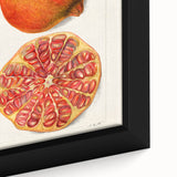 Extra large black wall art featuring a colorful, textured depiction of various fruits on framed canvas.