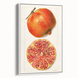 Vintage poster art of colorful fruits on a white framed canvas, ideal for living room decor.