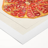 Art deco poster of colorful fruits on rolled canvas, suitable for dining room or bathroom wall art.