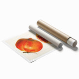 Extra large rolled print featuring an assortment of fruits in vibrant colors, ideal for classy bathroom wall art.