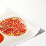 Extra large wall art featuring line art flowers in monochrome, ideal for large living room decor, printed on rolled canvas.