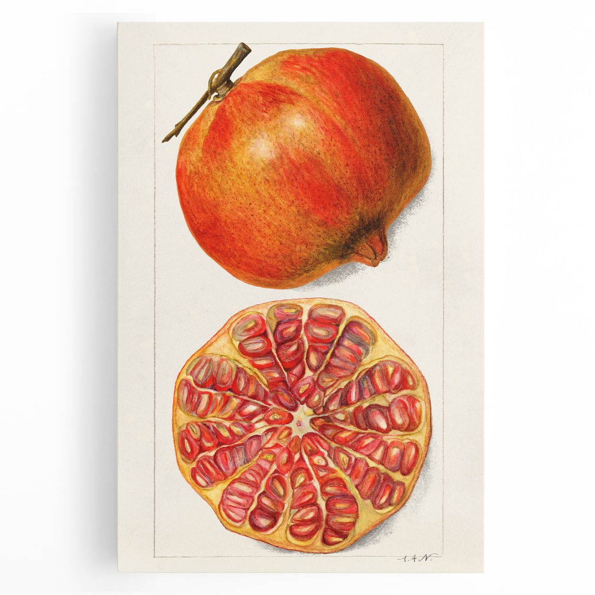 Black and white stretched canvas featuring a variety of fruits, ideal for kitchen wall art.