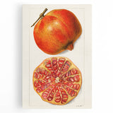 Black and white stretched canvas featuring a variety of fruits, ideal for kitchen wall art.