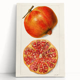 Large black and white stretched canvas featuring assorted fruits, ideal for kitchen wall art.