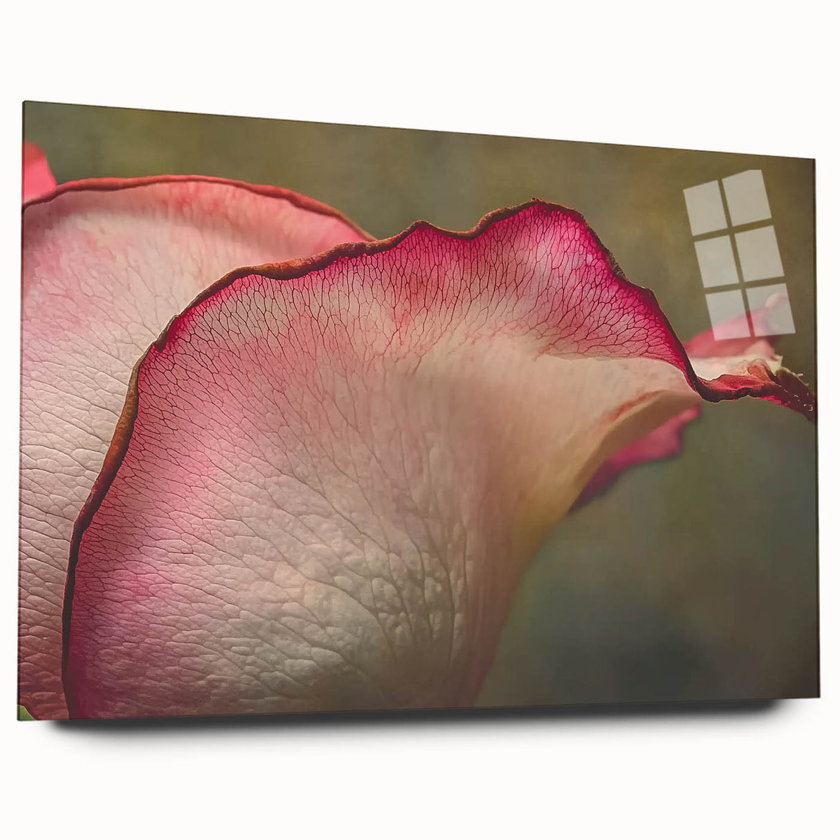 Large abstract floral design in vibrant pink and blue hues on acrylic glass, ideal for bedroom or dining room decor.