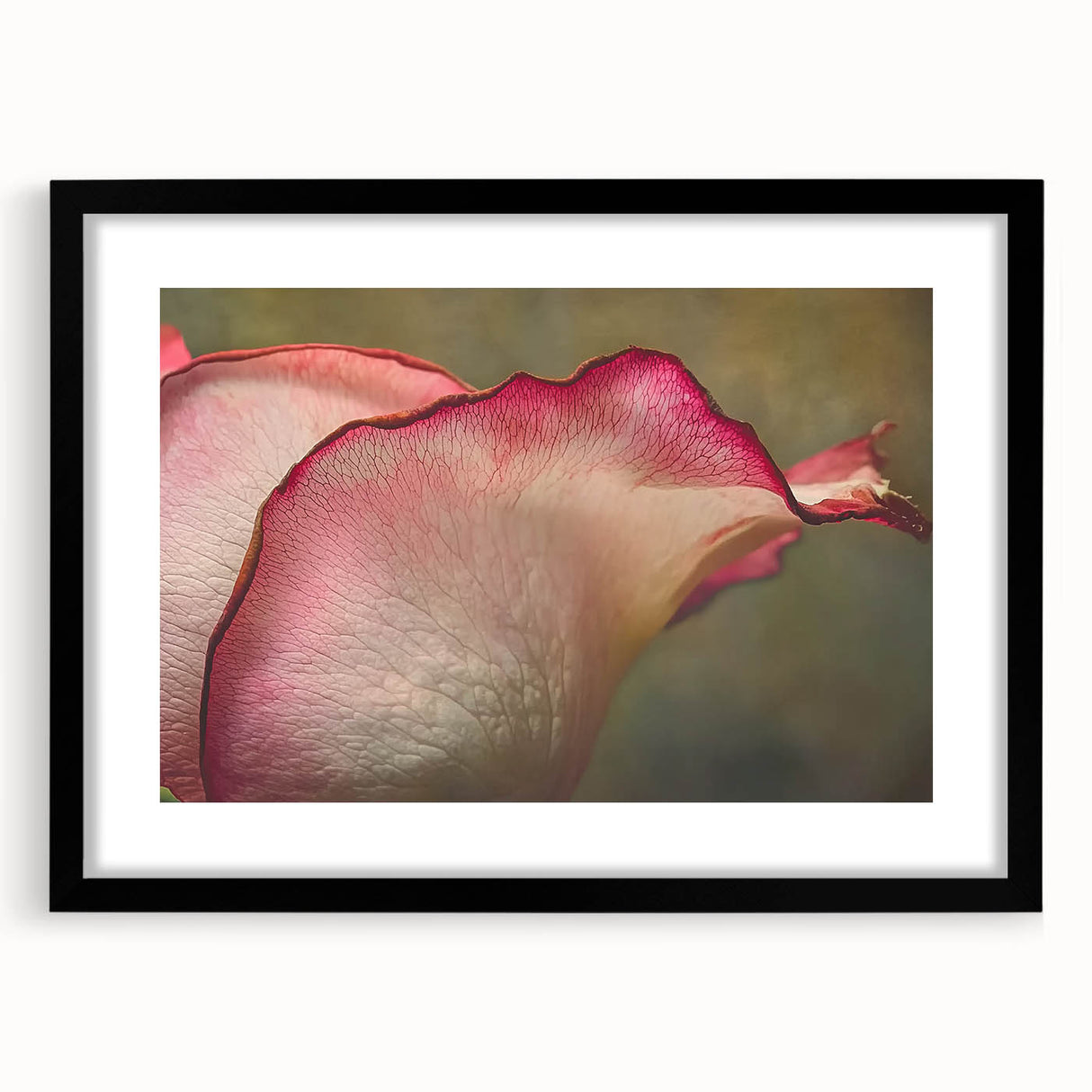 Extra large abstract art print featuring colorful, textured florals on a black framed canvas, ideal for living room decor.