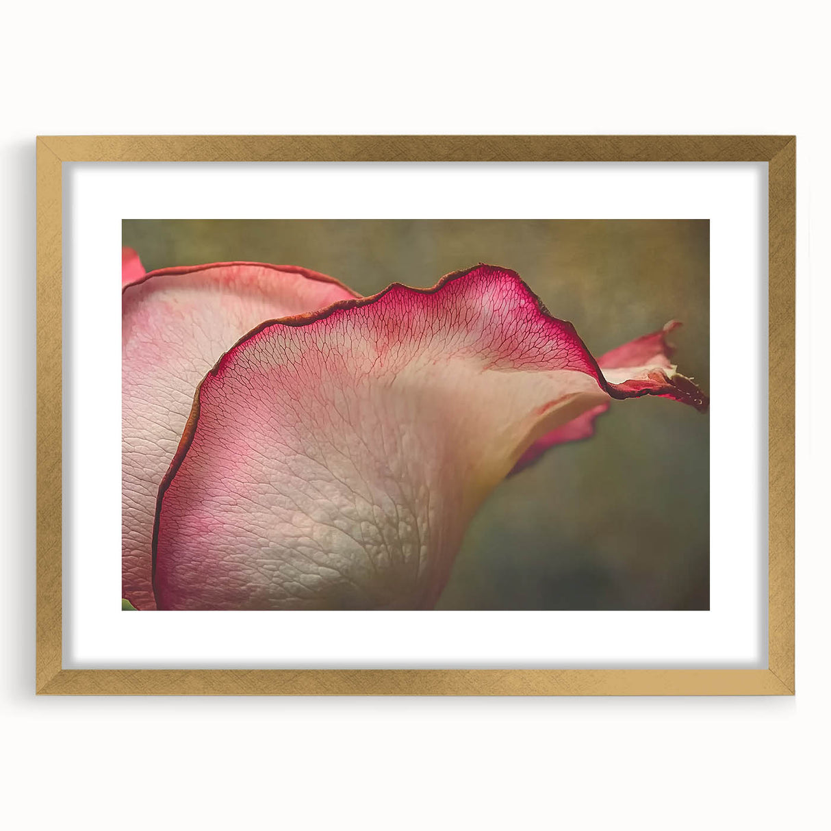 Extra large abstract art print featuring textured florals in gold, framed with a mat, ideal for living room decor.