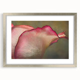 Textured abstract art print of close-up florals in muted green and white, framed in silver, ideal for bedroom wall decor.