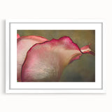 Abstract art print featuring close-up floral designs in soft pastel shades, framed in white.