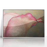 Art deco poster featuring close-up floral designs in soft pastel colors on a white acrylic framed print.