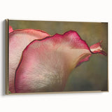 Framed canvas featuring a close-up floral design in gold tones, suitable as wall art for bedroom.