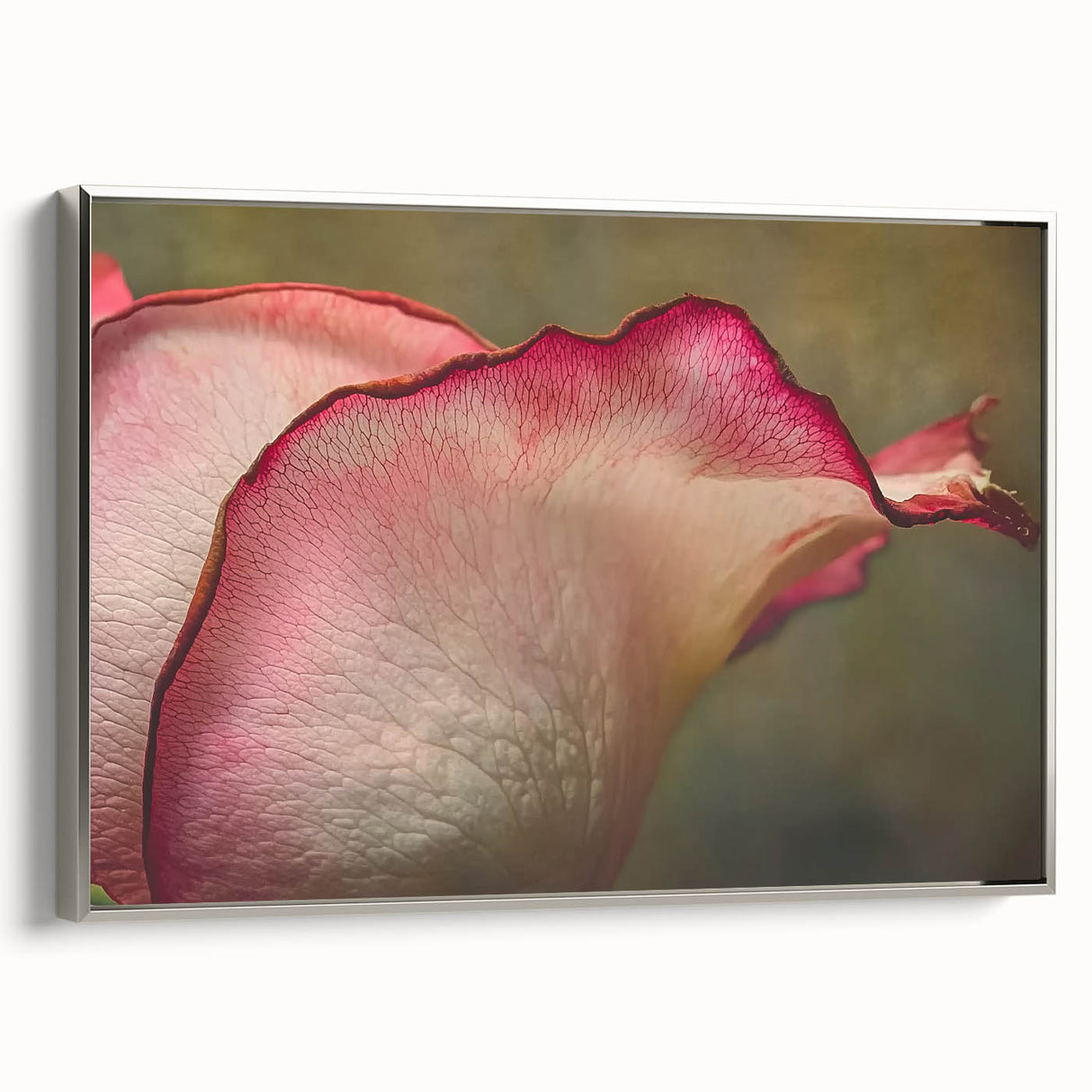 Framed canvas depicting a vintage-style landscape with colorful flora against a black background.