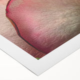 Art deco poster featuring close-up floral designs in bright colors on rolled canvas, suitable for dining room wall art.