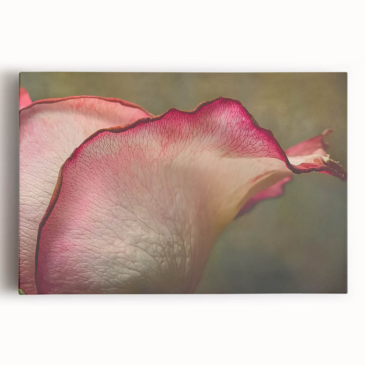 Black and white close-up floral photograph on stretched canvas, suited for kitchen wall art.