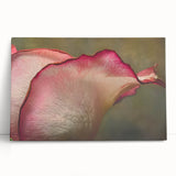 Black and white close-up floral image on stretched canvas, ideal for kitchen wall art or bedroom ambiance.