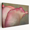 Close-up floral image with soft pink and green tones on a large stretched canvas, suitable for kitchen wall art.