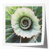 Close-up photo of green leaves on an extra large glossy print, ideal for art wall dining room or classy bathroom decor.