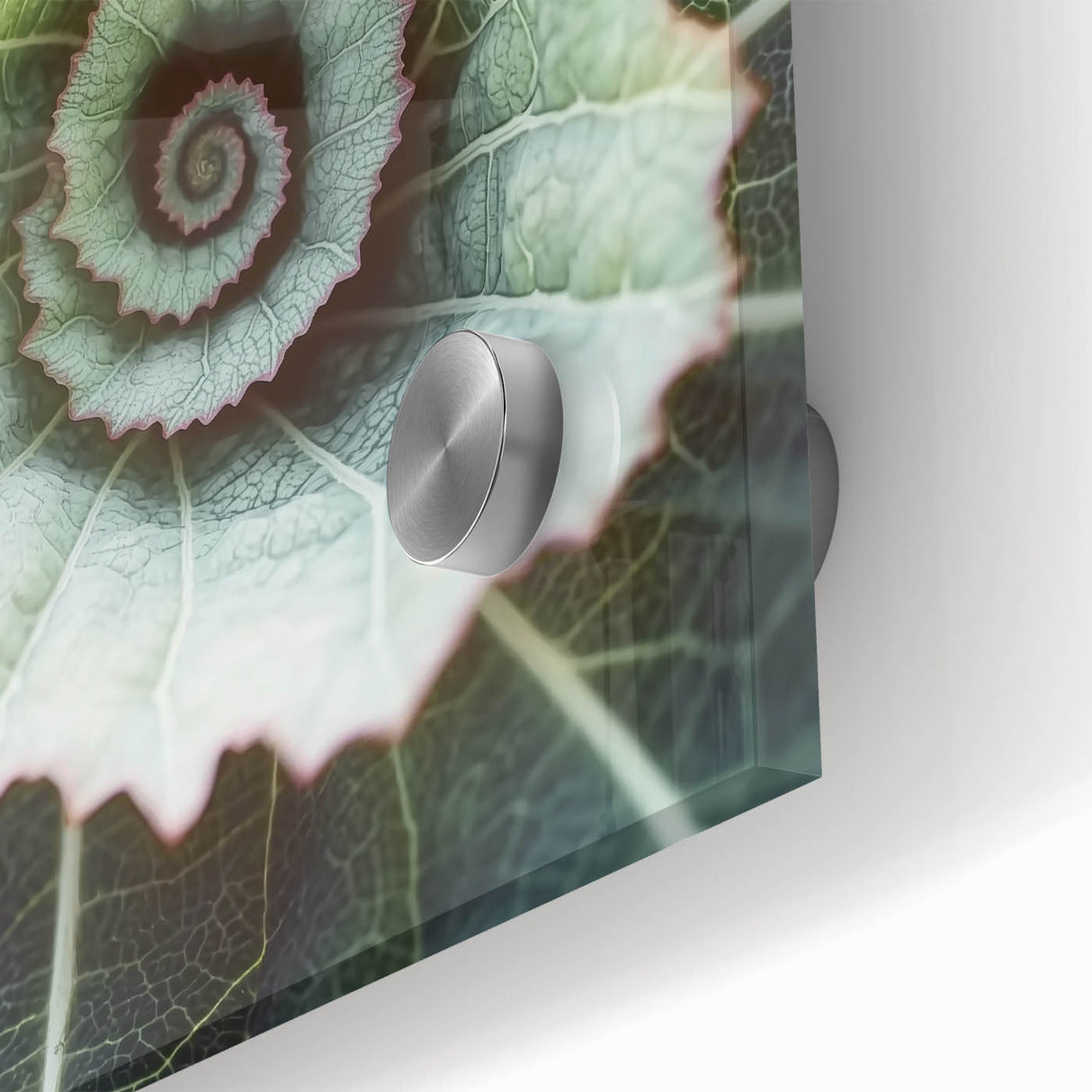 Close-up of leaves in green and yellow tones on an acrylic glass print.