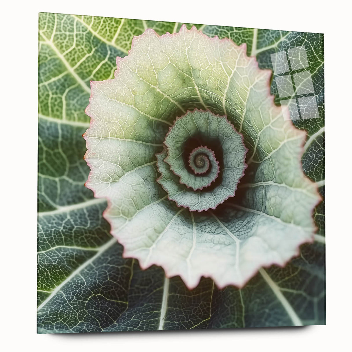 Close-up of green leaves on acrylic glass, large abstract design ideal for bedroom or dining room art.