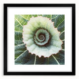 Extra large framed abstract art print featuring textured, colorful leaves, ideal for living room decor.