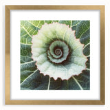 Extra large abstract art print featuring close-up green leaves, textured appearance, in a gold frame.