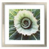 Close-up of textured art depicting abstract leaves in muted green tones, framed in silver, ideal for bedroom art.