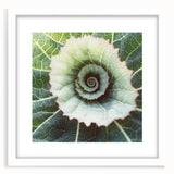 Abstract art print featuring close-ups of leaves in muted green and white tones, framed with a white mat.