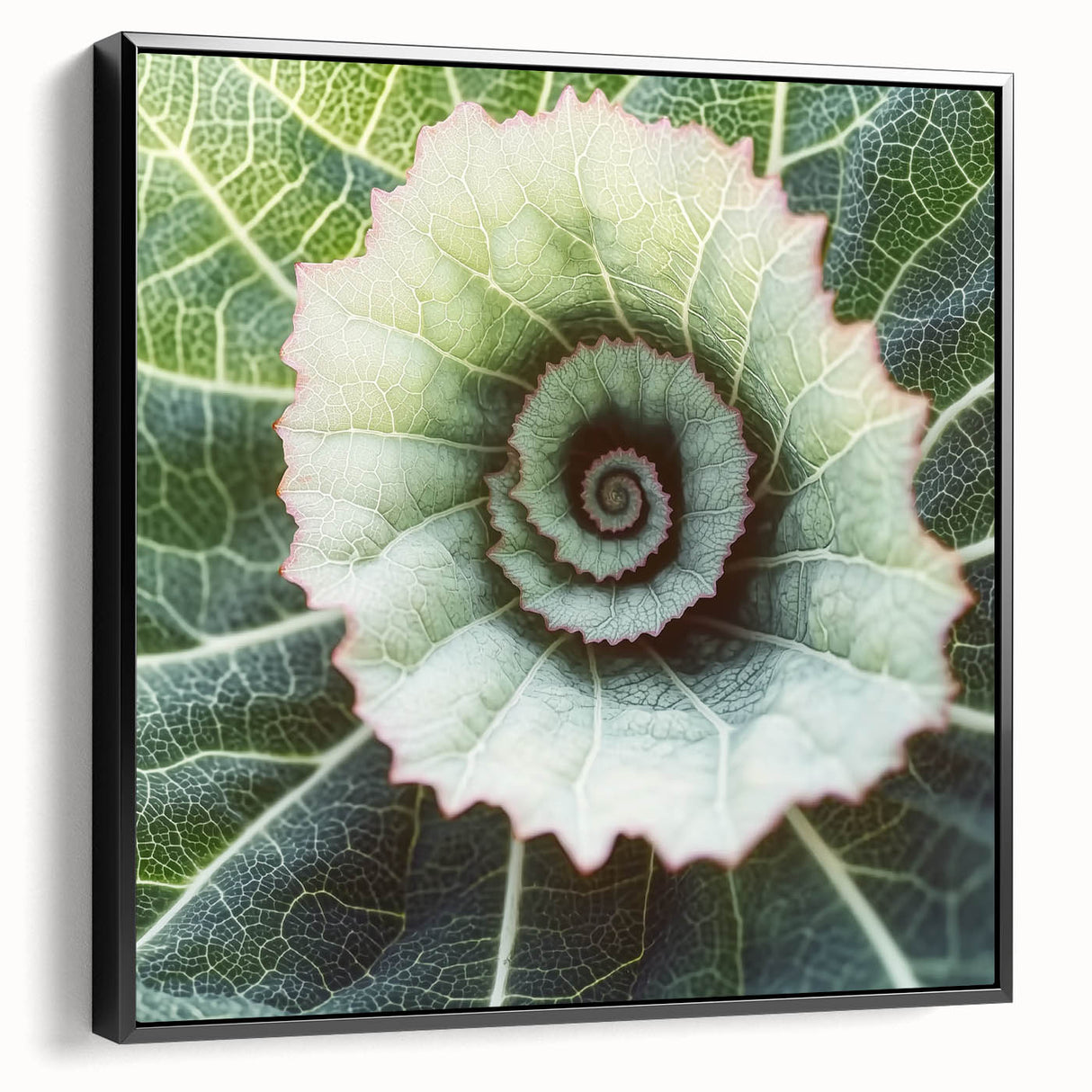 Black and white close-up of leaves on a framed canvas, suitable for bedroom wall decor.