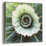 Framed canvas depicting close-up of vibrant green leaves, ideal for adding a touch of nature to any living space.